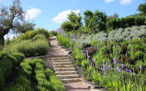 Villa del Cammino: Vegetation, Struik, Tuin, Landschap, Plantengemeenschap, Groundcover, De Lente, Botanische Tuin, Trail