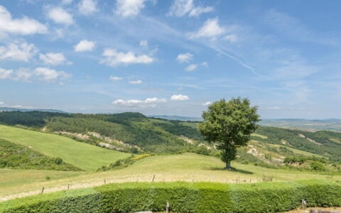Podere del Mezzadro: Lucht, Groen, Gras, Natuurlijke Omgeving, Natuur, Grasland, Natuurlijk Landschap, Heuvel, Vegetation