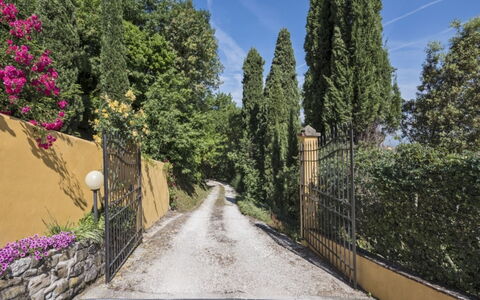 Villa Lucente: Blad, Vegetation, Struik, Tuin, Landscaping, Oprit, Evergreen, Trail, Lariks