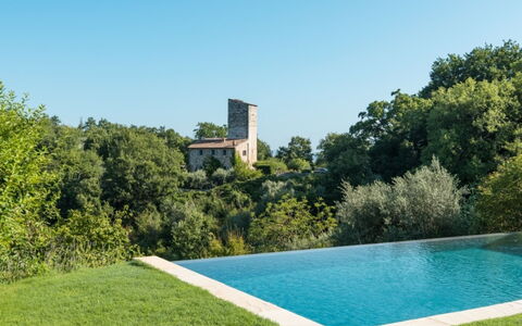 Villa Ugo: Zwembad, Struik, Land Lot, Tuin, Landscaping, Gazon, Landgoed, Waterpartij, Schaduw, Werf