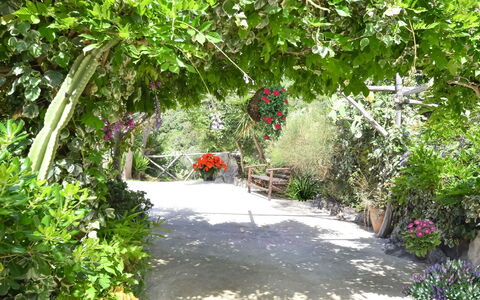 Villa Campanella: Bloem, Vegetation, Struik, Tuin, De Lente, Bloemisterij, Botanische Tuin, Gang, Trail