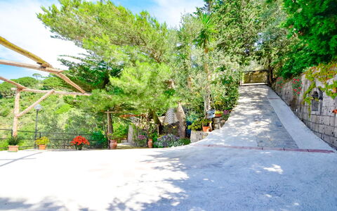 Villa Campanella: Boom, Blad, Afdeling, Vegetation, Woody Plant, Gang, Schaduw, Trap, Landscaping, Oprit