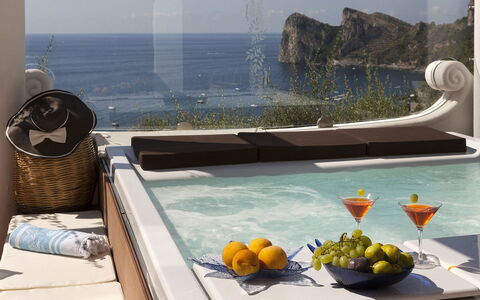 Villa Nerano: Meubilair, Loodgieterswerkinrichting, Appartement, Jacuzzi, Bad, Toevlucht, Stoel, Kamerplant, Woonkamer