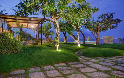 Villa Gilda: Natuur, Tuin, Struik, Landschap, Schaduw, Landscaping, Gazon, Gang, Werf