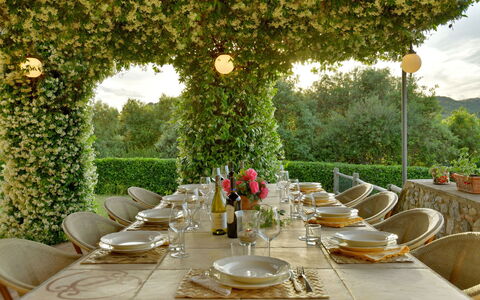 Villa Anima: Meubilair, Tafel, Tableware, Buitentafel, Tuin, Tafelkleed, Stoel, Buitenmeubels, Restaurant, Keuken En Eettafel