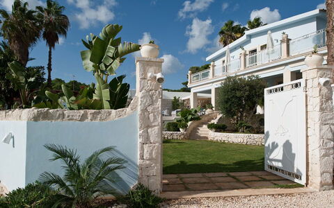 Villa Teresa: Landgoed, Schaduw, Hacienda, Herenhuis, Toevlucht, Landscaping, Villa, Beton, Tuin