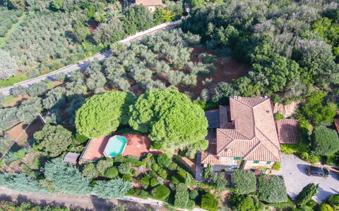 Villa Magazzini: Vegetation, Landschap, Landgoed, Vogelperspectief, Luchtfotografie, Voorstad, Plantage, Landscaping