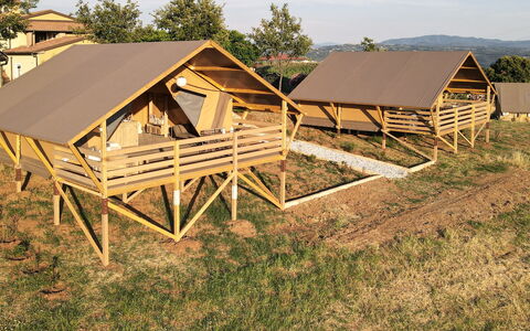 Accommodatie:&nbsp;Glampingtent Minerva 500.22