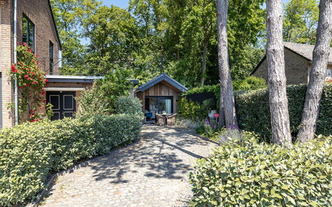 Residence Domburgse Duinen: Struik, Huis, Verblijf, Huis, Tuin, Groundcover, De Lente, Landscaping, Landgoed