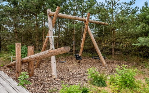 Danske - 6.8Km from the Sea: Hout, Afdeling, Trunk, Bos, Speeltoestel, Trail