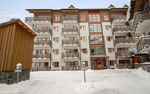 Kelotähti a 11: Hout, Verblijf, Blokhut, Woud, Schuur, Garden Gebouwen, Lariks, Bos, Beits