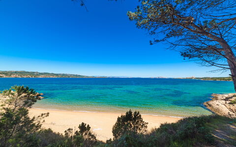 Baia Bianca Apartments Sardinia: Blauw, Water, Zwemwater, Natuurlijke Omgeving, Kust, Strand, Kust En Oceanic Landvormen, Horizon, Natuurlijk Landschap, Zee