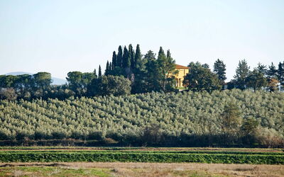 Poggio Cavallino Private Pool, Wifi, Maremma