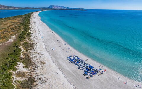 San Teodoro Apartments: Blauw, Strand, Kust, Zee, Kust En Oceanic Landvormen, Kust, Oceaan, Toeristische Attractie, Baai, Caribbean