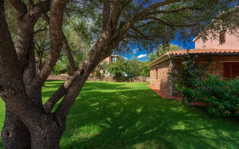 San Teodoro Apartments: Blad, Boom, Gras, Natuur, Afdeling, Tuin, Struik, Landschap, Gazon
