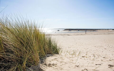 La Bernerie-En Retz 250: Natuurlijke Omgeving, Strand, Kust, Zand, Kust En Oceanic Landvormen, Kust, Zee, Ecoregio, Oceaan