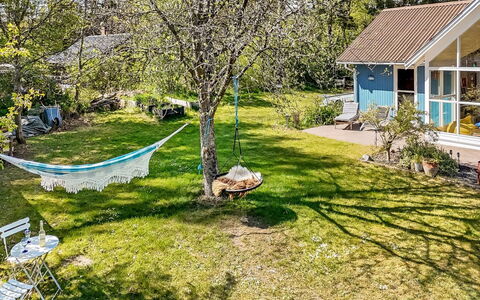Akule - 6Km from the Sea: Struik, Tuin, Verblijf, Gazon, Groundcover, De Lente, Backyard, Schaduw, Werf