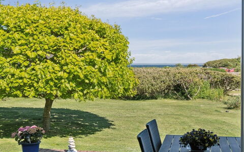Sukie - 100M from the Sea: Vegetation, Struik, De Lente, Verblijf, Tuin, Schaduw, Backyard, Werf, Stoel