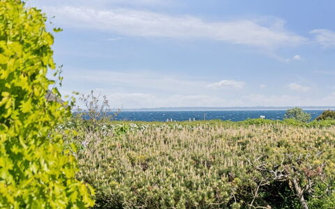 Sukie - 100M from the Sea: Vegetation, Struik, De Lente, Verblijf, Tuin, Schaduw, Backyard, Werf, Stoel