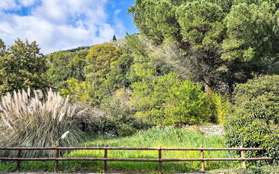 Accommodatie:&nbsp;Giove 42.2