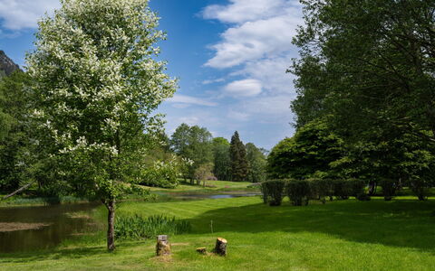 Loch Ness Granary: Afdeling, Boom, Blad, Natuur, Vegetation, Struik, Land Lot, De Lente, Tuin, Groundcover