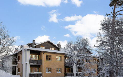 Lomariekko 6 a 2: Hout, Sneeuw, Winter, Verblijf, Freezing, Huis, Blokhut, Lariks, Siding