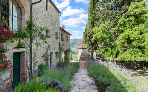 Villa Poggio La Croce: Struik, Tuin, Groundcover, Steen, Landscaping, Stenen Muur, Botanische Tuin, Plantage