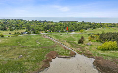 Hjalmine - 225M from the Sea: Vegetation, Struik, De Lente, Verblijf, Tuin, Schaduw, Backyard, Werf, Stoel