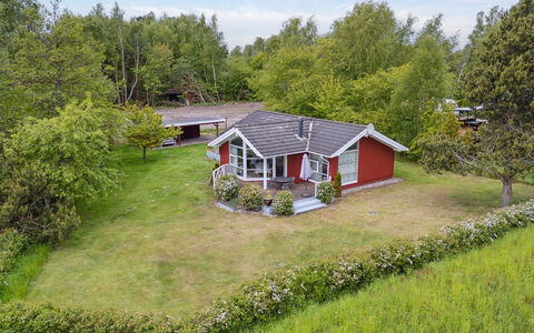 Hjalmine - 225M from the Sea: Vegetation, Struik, De Lente, Verblijf, Tuin, Schaduw, Backyard, Werf, Stoel