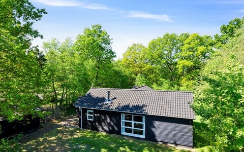Tomine - from the Sea: Verblijf, Garden Gebouwen, Schuur, Tuin, Bos, Schaduw, Blokhut, Werf, Boerderij, Siding