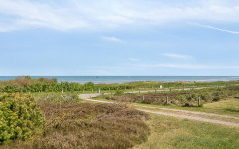 Suometar - 90M from the Sea: Gras, Grasland, Land Lot, Verblijf, Landelijk Gebied, Weide, Garden Gebouwen, Tuin, Schuur