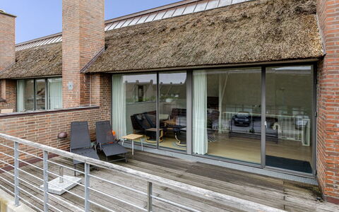 Øgoti - 500M from the Sea: Landgoed, Schaduw, Oprit, Boerderij