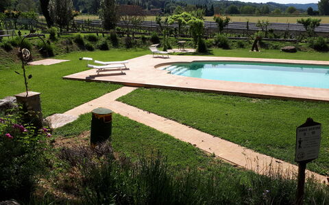Appartamento Rustico, Wifi, Perugia: Tuin, Zwembad, Buitenmeubels, Gazon, Schaduw, Backyard, Landscaping, Vrije Tijd, Park, Waterpartij