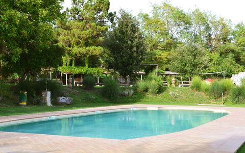 Appartamento Rustico, Wifi, Perugia: Zwembad, Boom, Toevlucht, Schaduw, Tuin, Buitenmeubels, Vrije Tijd, Backyard, Landscaping, Waterpartij