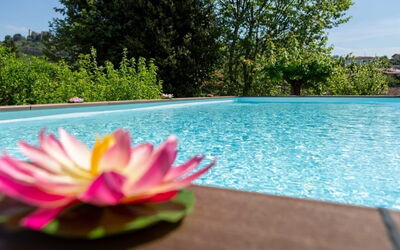 Casale La Pieve: Water, Zwembad, Tuin, Landscaping, Toevlucht, Waterpartij, Eco Hotel, Botanische Tuin, Backyard