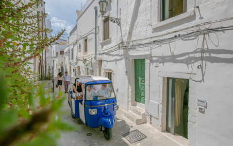 Casa Bolero: Steeg