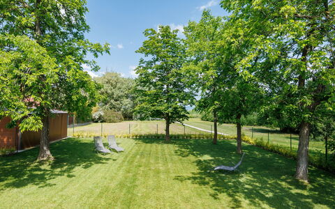 Daniel: Boom, Gras, Groen, Struik, Tuin, Plain, Grasland, Land Lot, Gazon