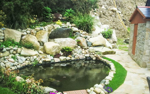Eagle Nest: Felsen\, Tuin, Waterpartij, Backyard, Landscaping, Vijver, Flagstone, Werf, Visvijver