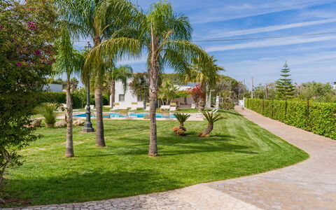 Ville Poggioreale: Boom, Tuin, Struik, Gazon, Woody Plant, Landscaping, Schaduw, Hacienda