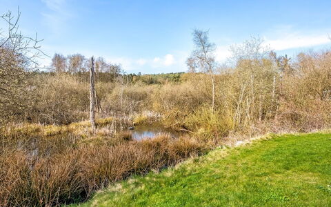Blek - 2.8Km from the Sea: Hout, Huis, Veranda, Dek, Hardwood, Dak, Beits, Houten Vloer, Eco Hotel