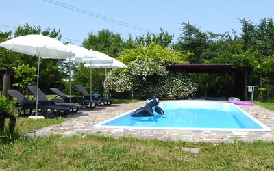 Silea Apartments, Pool, Garden, Treviso: Zwembad, Buitenmeubels, Paraplu, Toevlucht, Vrije Tijd, Meubilair, Schaduw, Ligstoel, Eco Hotel, Stoel