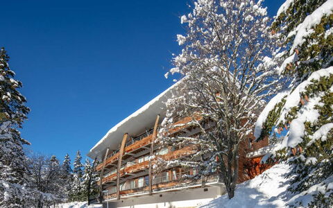 V du Bachat Arolles a: Winter, Freezing, Sneeuw, Balkon, Lariks, Pine Family