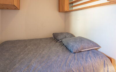 Morillon 646