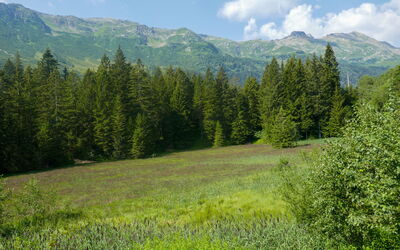 Campo Blenio 15
