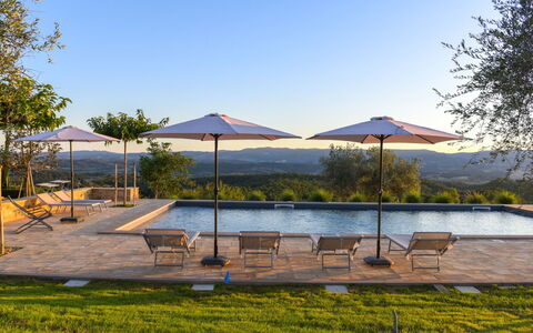Podere Vigna Nuova: Lucht, Boom, Zwembad, Buitenmeubels, Ligstoel, Toevlucht, Paraplu, Eco Hotel, Landscaping, Badplaats