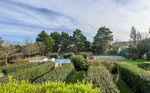 Quiberon 250: Groen, Natuur, Vegetation, Struik, Tuin, Landschap, Plantengemeenschap, Haag, Groundcover, De Lente
