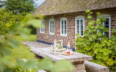 Tuki - 10Km from the Sea: Blauw, Struik, Verblijf, Groundcover, Tuin, Landgoed, Schaduw, Landscaping, Boerderij, Eco Hotel