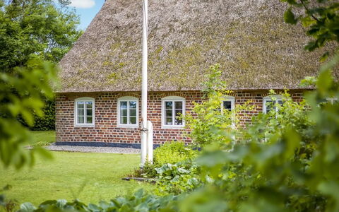 Tuki - 10Km from the Sea: Blauw, Struik, Verblijf, Groundcover, Tuin, Landgoed, Schaduw, Landscaping, Boerderij, Eco Hotel