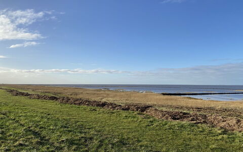Tuki - 10Km from the Sea: Blauw, Struik, Verblijf, Groundcover, Tuin, Landgoed, Schaduw, Landscaping, Boerderij, Eco Hotel