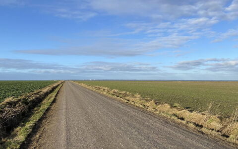 Tuki - 10Km from the Sea: Blauw, Struik, Verblijf, Groundcover, Tuin, Landgoed, Schaduw, Landscaping, Boerderij, Eco Hotel